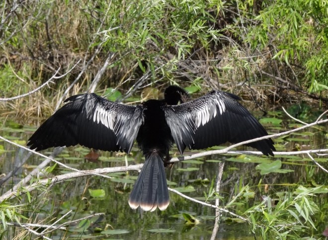 Dad strikes the usual drying-out pose