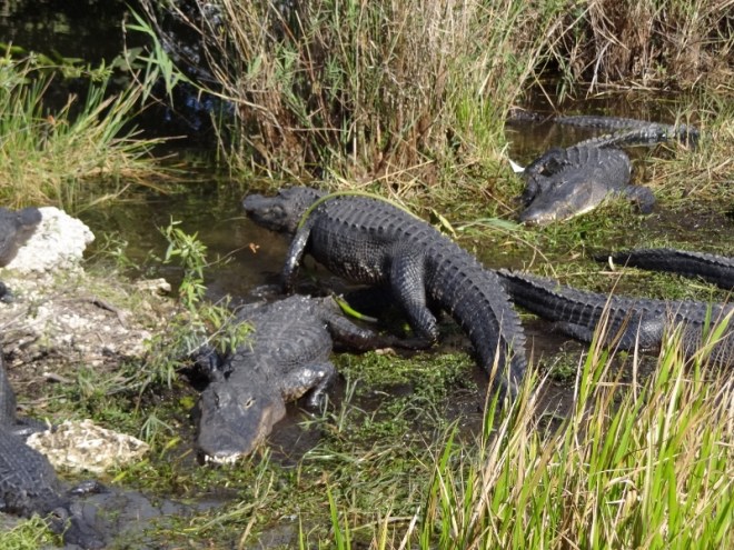 Oh don't move, I'll just crawl over you