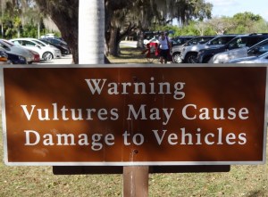 Bring wet towels or tarps to cover up if you are worried