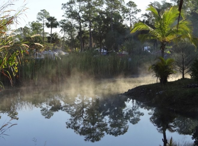 A chilly, misty pond morning
