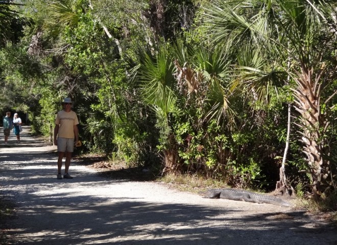 Now we know why. Russ wouldn't go closer.