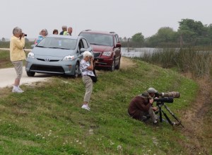 This was a dead giveaway that some bird was worth photographing