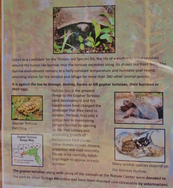 The tunnels help out other creatures too