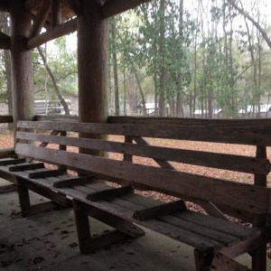 Took us a bit to figure out the reason for bench dividers... or are they?