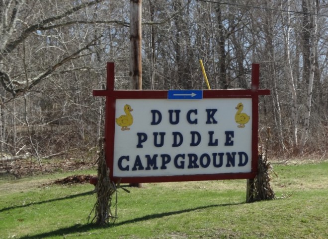 arrive at campground