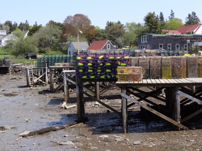 Low tide at Port Clyde
