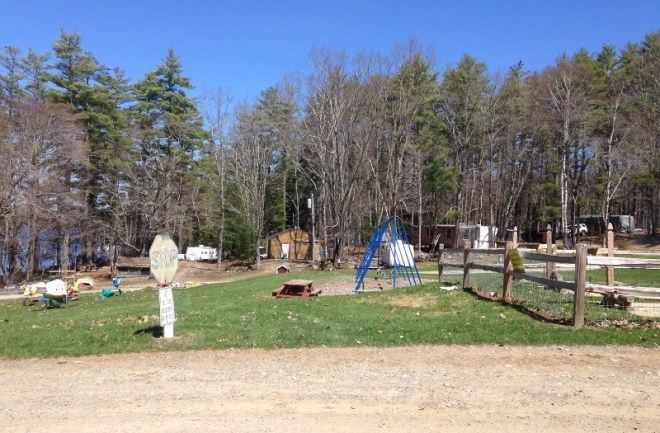 View from office; most campsites are in the pine trees