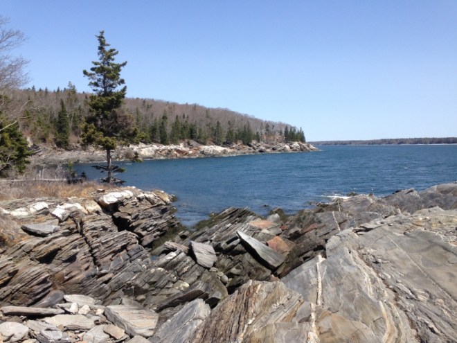 Traditional Maine coast view
