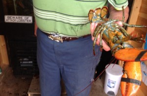 first of the season- he or she?