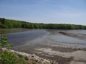 Low tide at the launch ramp
