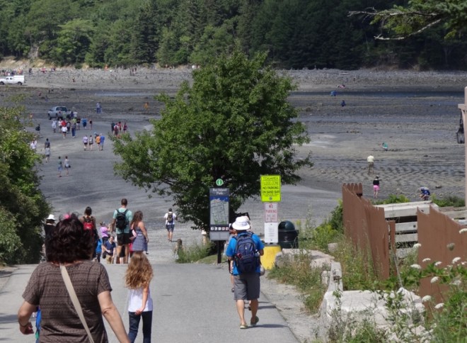 crossing the bar to Bar Island near low