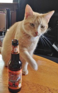 My name is Freya, nice to meet you. Would you like a brew?