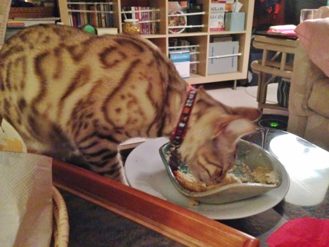 Spot surprised us all and went for Ann's delicious artichoke dip