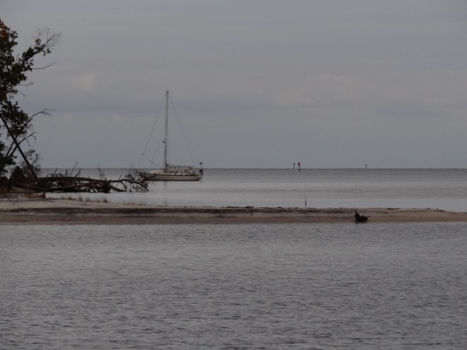 Our closest and only neighbor