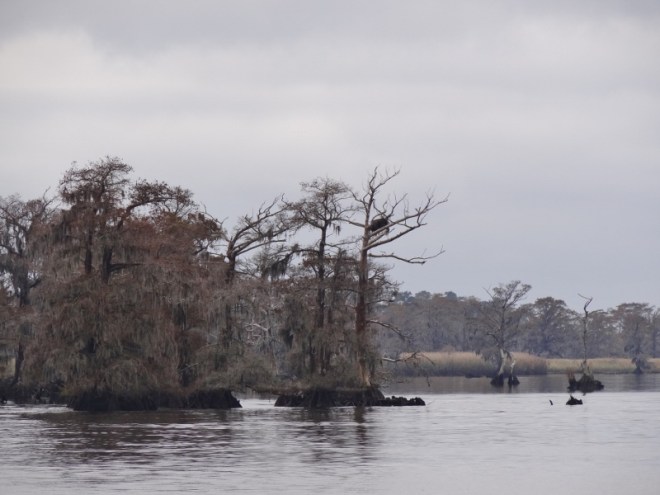 The always scenic Waccamaw River