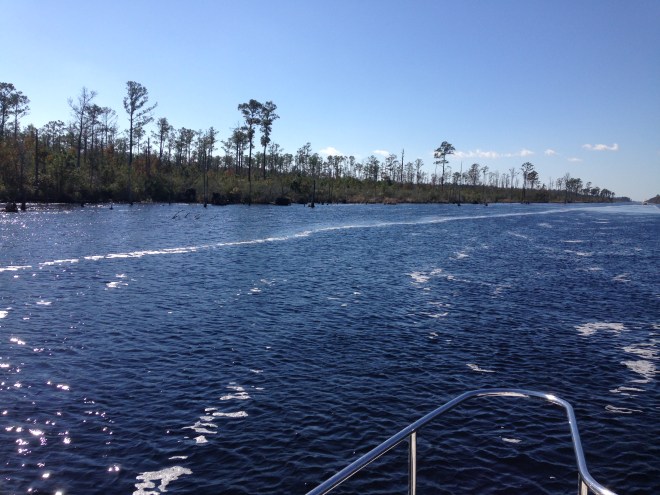 Pungo-Alligator Canal