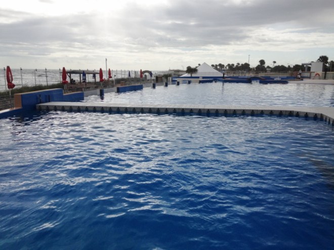 The dolphin pools appear to merge with the ocean