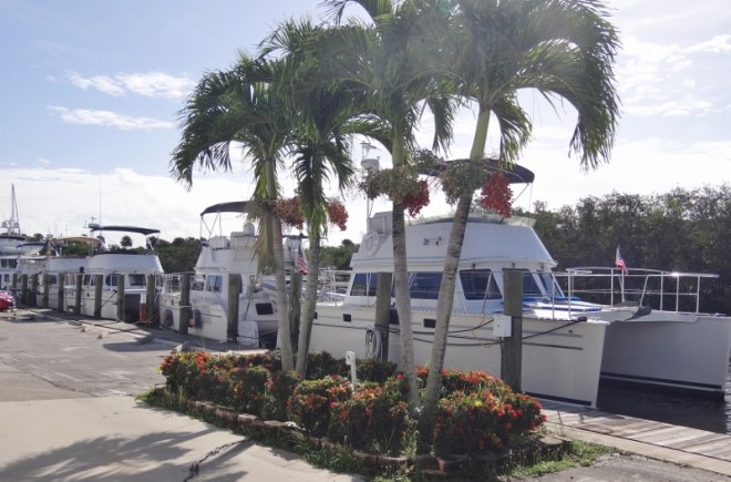 Vign Eau, Twin Sisters, Abbotsford III, Miss My Money, Cat Daddy