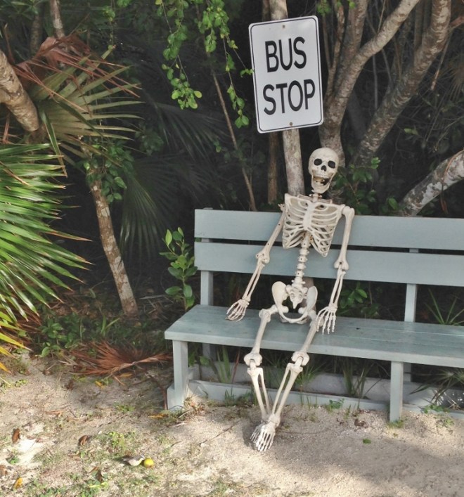 "Been waiting long?", asks the Banaquit eating a snack