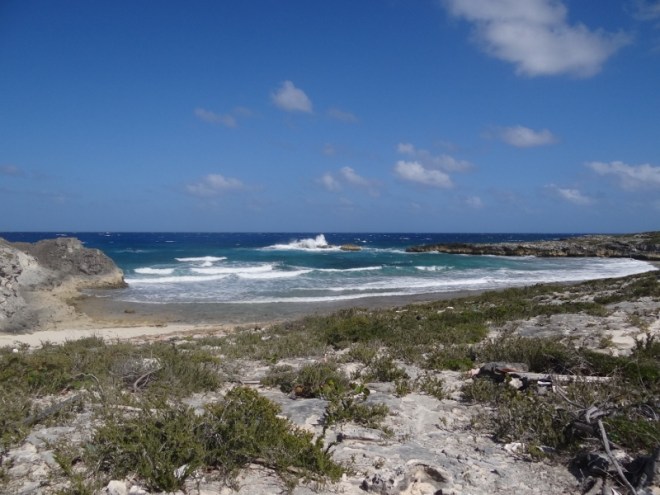 The ocean in 20kts+ East wind. BFC SandDollar Bch