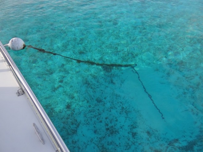 Good view of mooring at WW