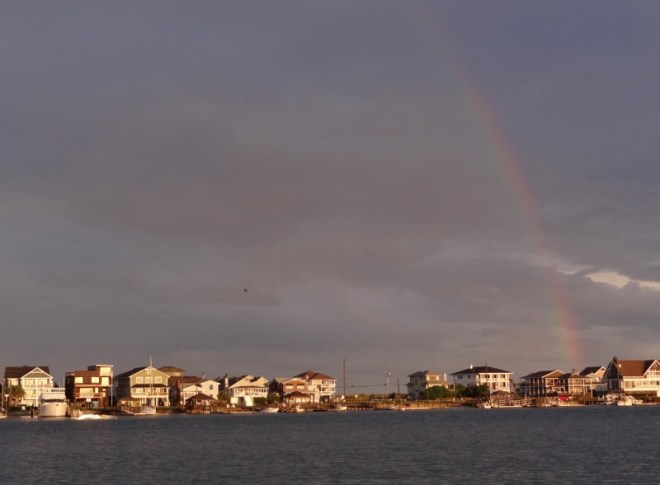 A gift after the rain