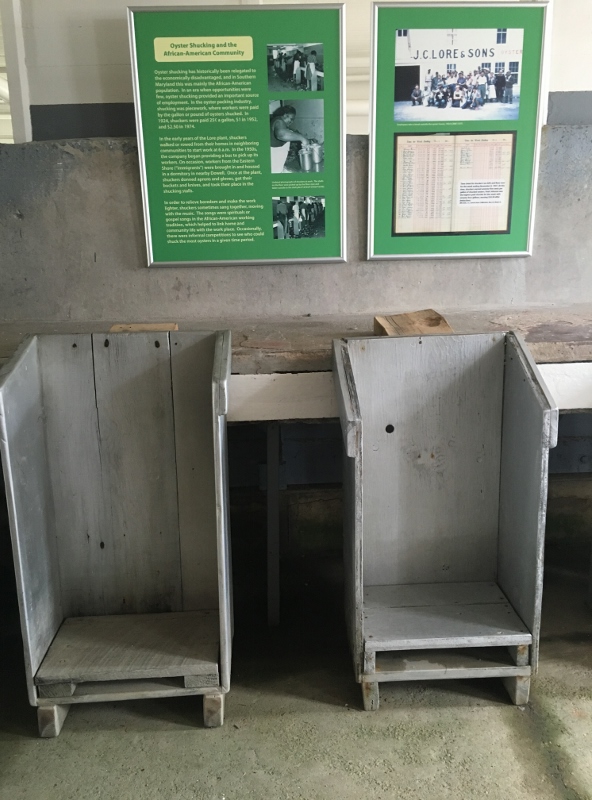 Shucking stations- two different heights for taller or shorter person