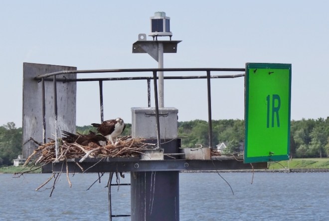 Its not much but its home- with a prime address 1R