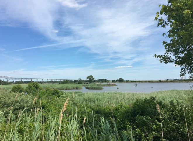 Old meets new C&D Canal- Reedy Pt bridge to left