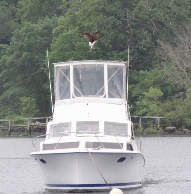 The top of this boat was even more favored than the small boat