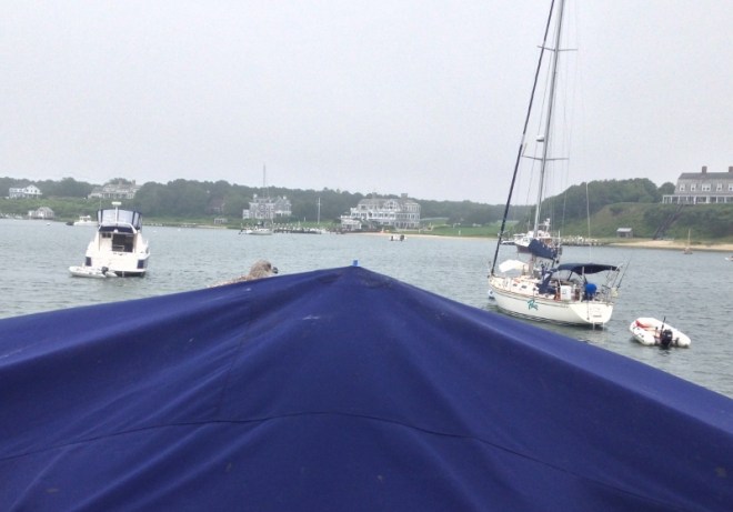 Seagull joins us for breakfast. The Boch mansion straight ahead