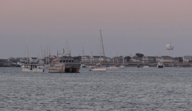 Dyad stands out in the crowd