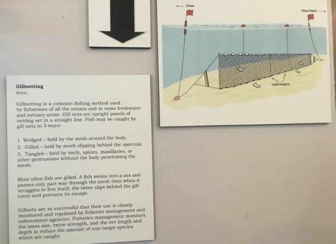 A peek at "below the floats"