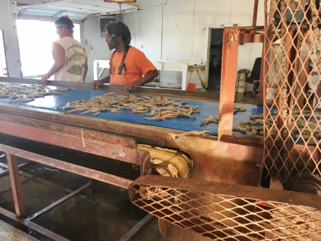 Shrimp! at Homer Smiths