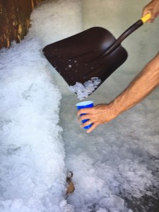 Just come in and shovel up what you need!