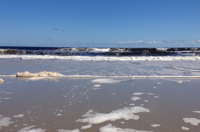 Wave coming atcha birdie