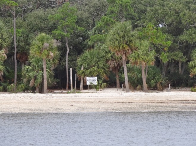 Observation Beach at Morgan, aka Monkey Island