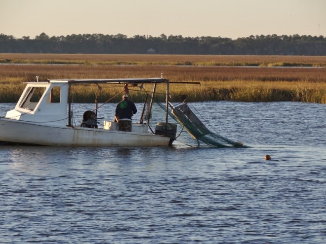 Evening shrimp haul- 100 ft from where we are anchored
