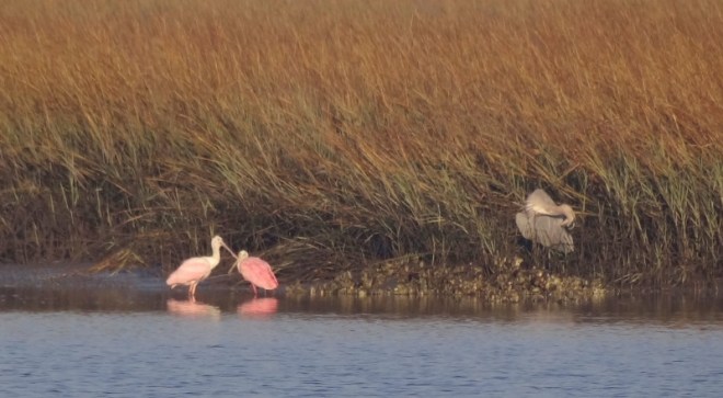 This is getting too personal, I got to hide my head!