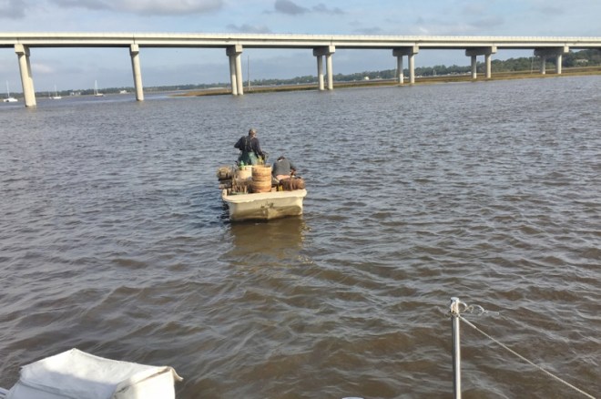 Collecting the days catch- a full trap