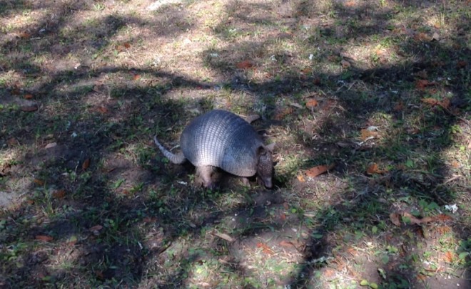 Gotcha! Finally lifts his head up