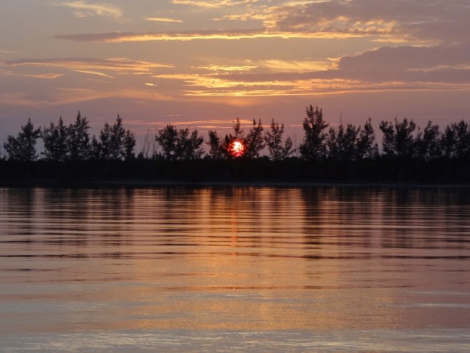 Peek a boo, I see you Mr Sun