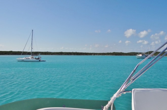 RedShanks next to Zwoi, Swiss cat, Renee and Heidi
