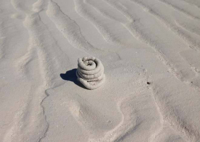 Fine exampleof a sand worm tower